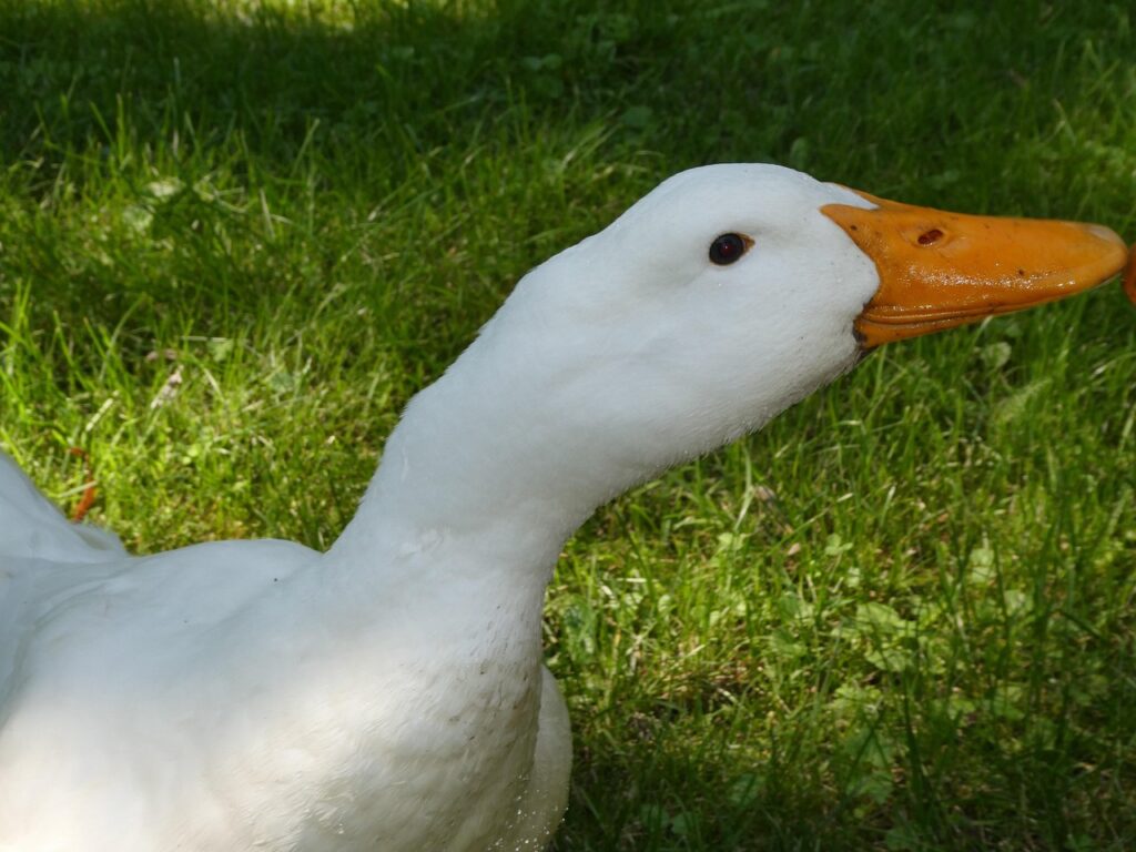 How Do Environmental Cues Dictate My Behavior?