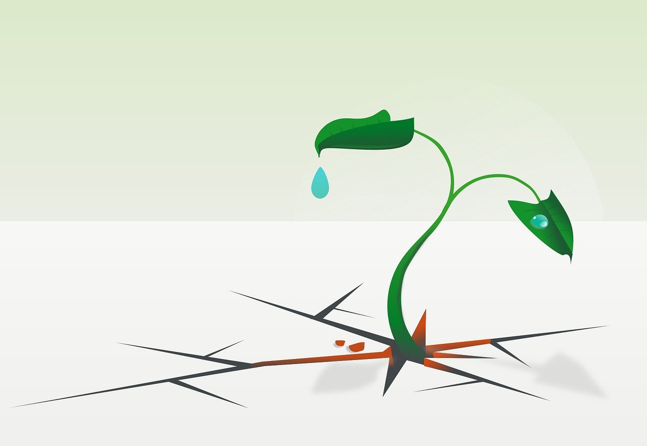 How Do I Develop “mental Toughness” Without Losing Empathy?