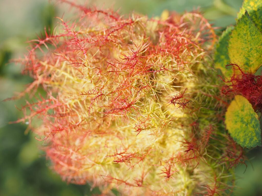 How Long Does It Actually Take To Form A New Habit?