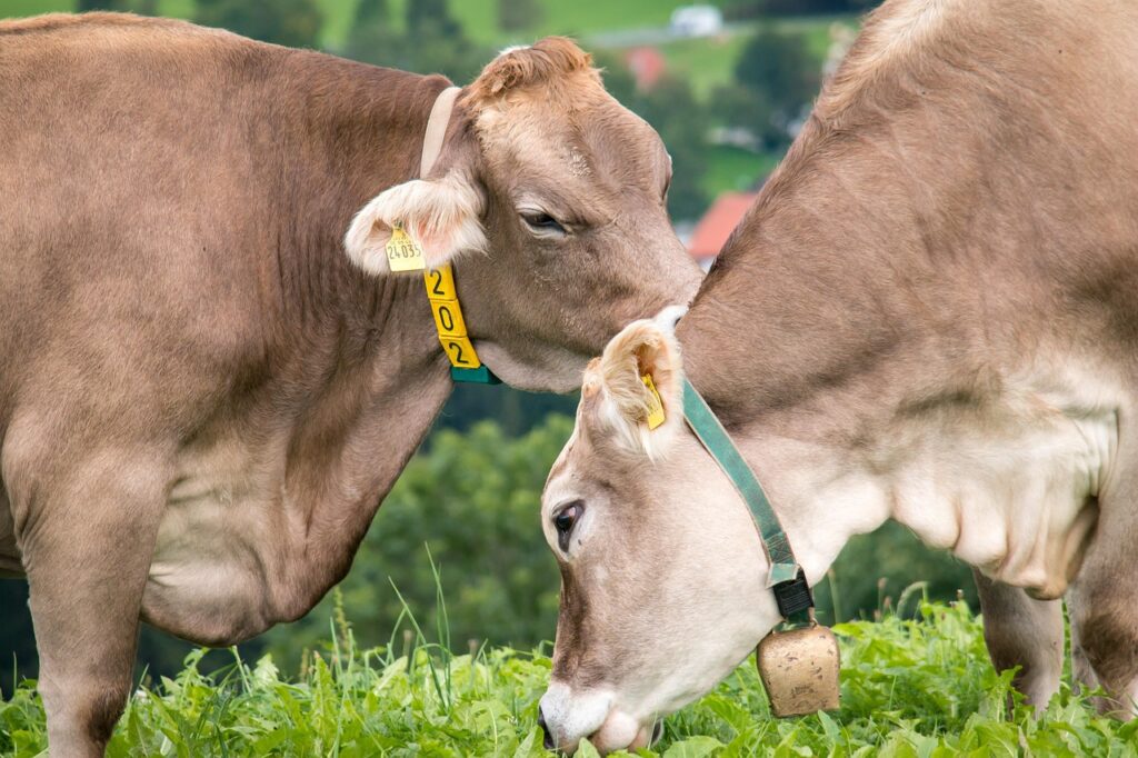 2. Habits Behavioral Science 2. Habits Behavioral Science