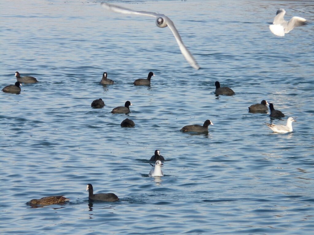 80. How Can I Build A Side Hustle Without Losing My Sanity?