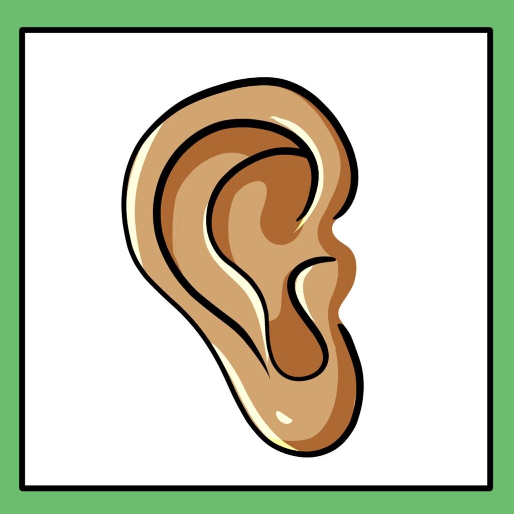 81. How Do I Cultivate Active Listening Skills?