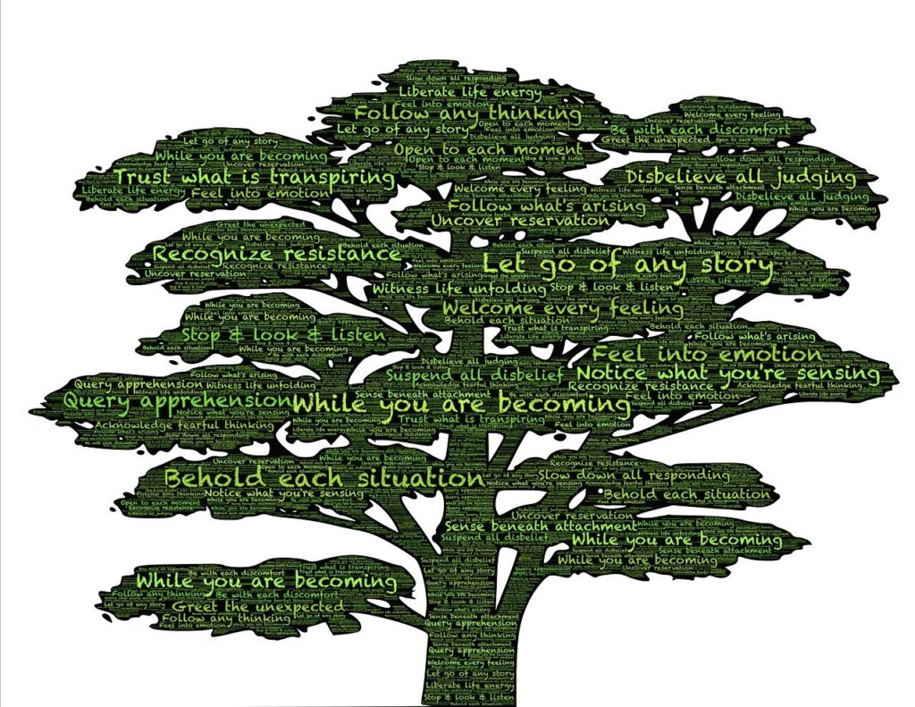 Mindset  Mental Models