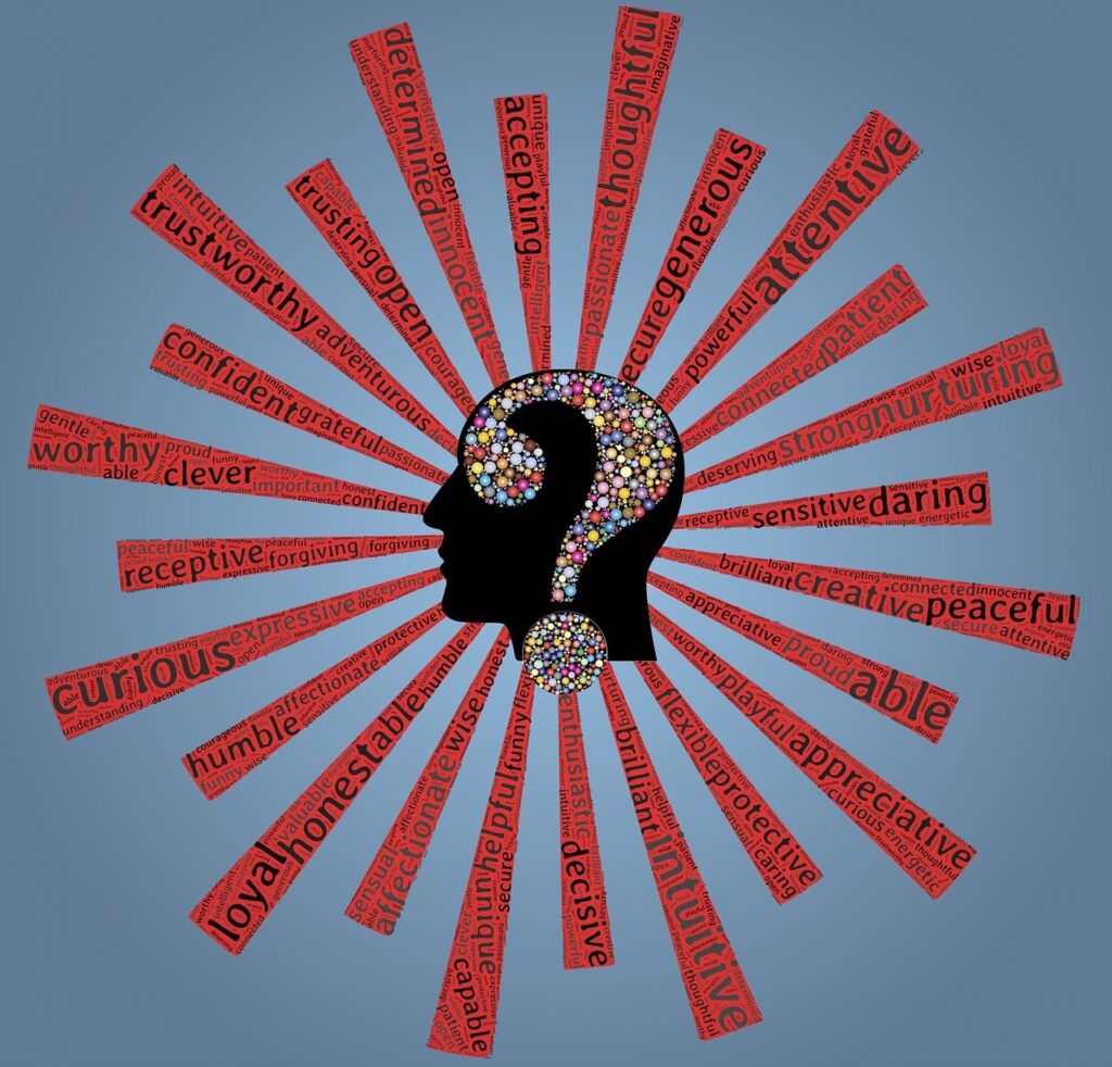 Mindset  Mental Models