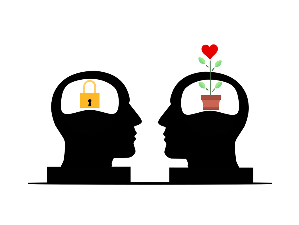 Mindset  Mental Models